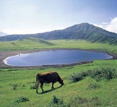 黒川温泉